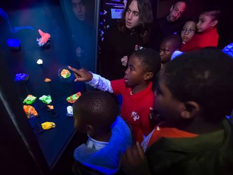 Fluorescent minerals light up visiting students faces at visualization lab