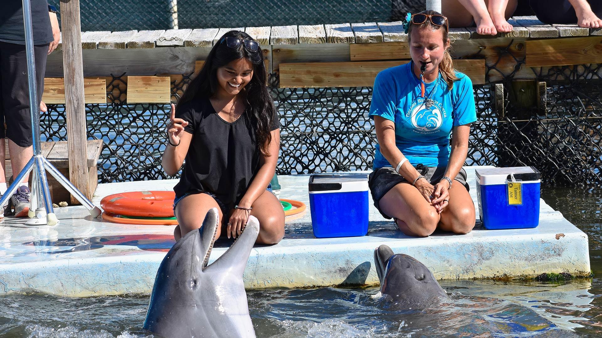 A student holds up a finger while kneeling near the water, where a dolphin responds.