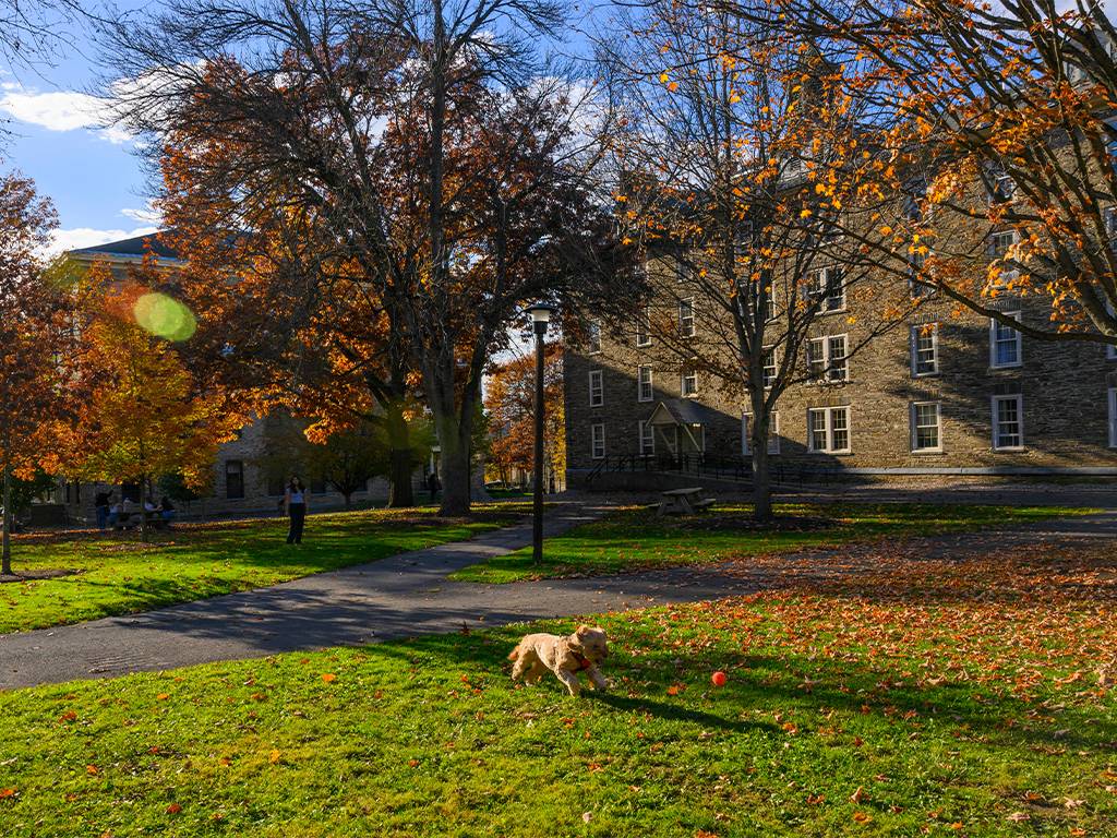 Campus in autumn.