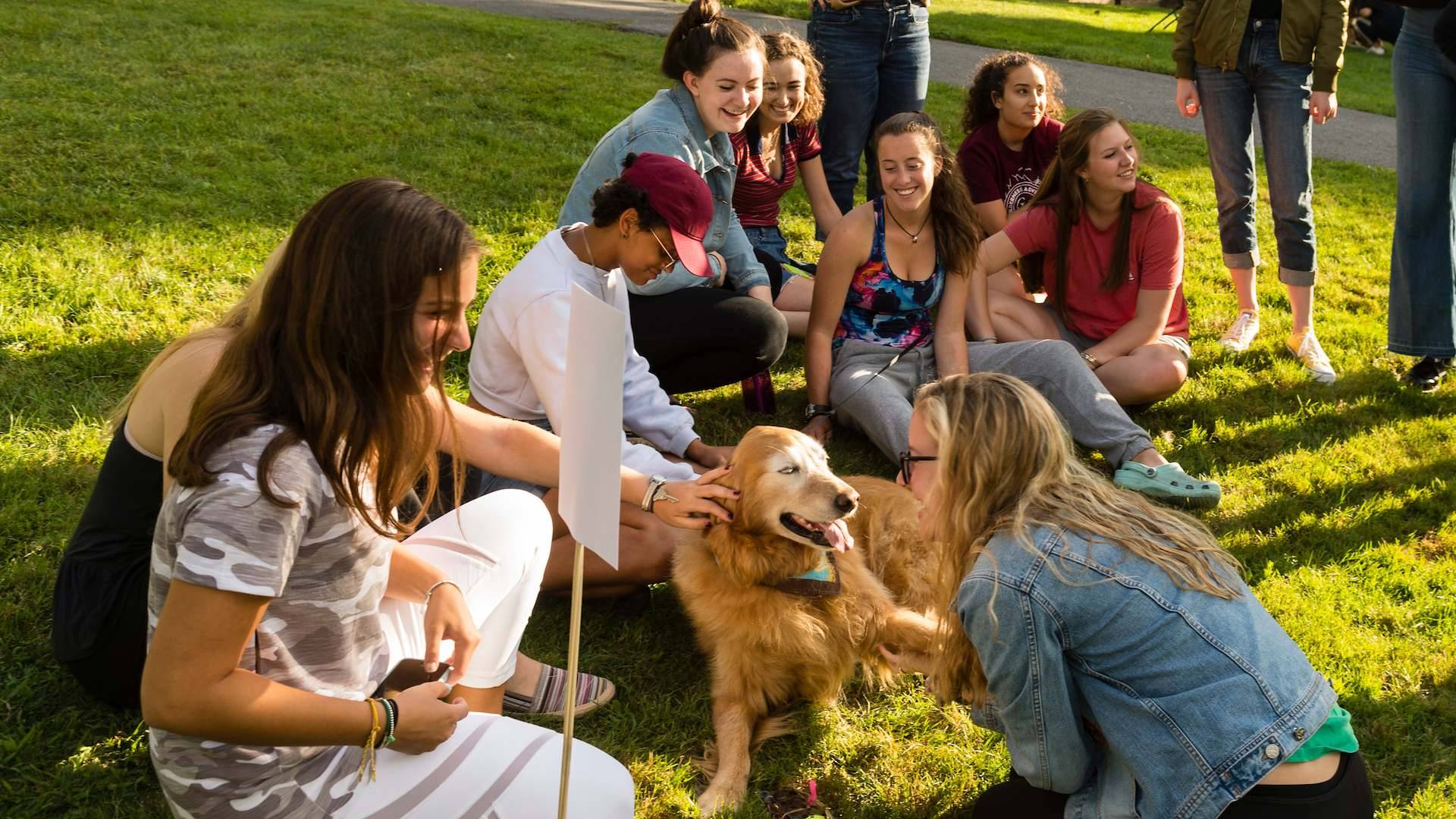 Students pet a dog on the Academic Quad