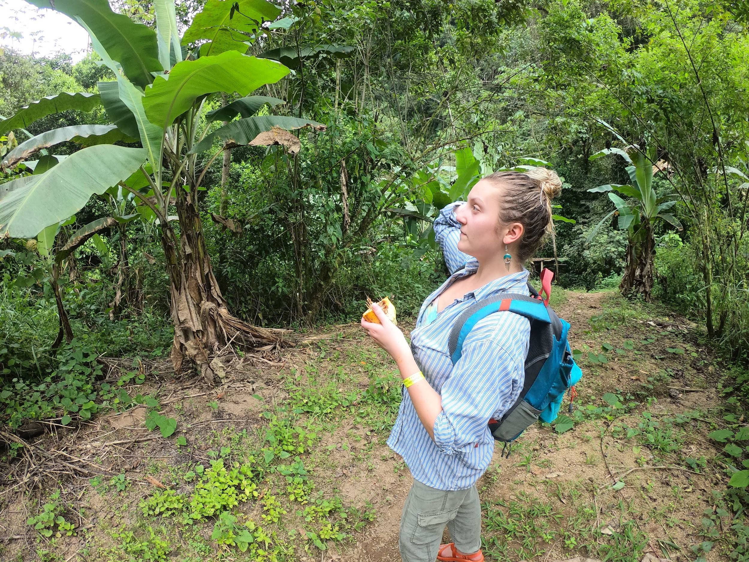 Sierra DeAngelo '20: Touring a Reforestation Site in Costa Rica