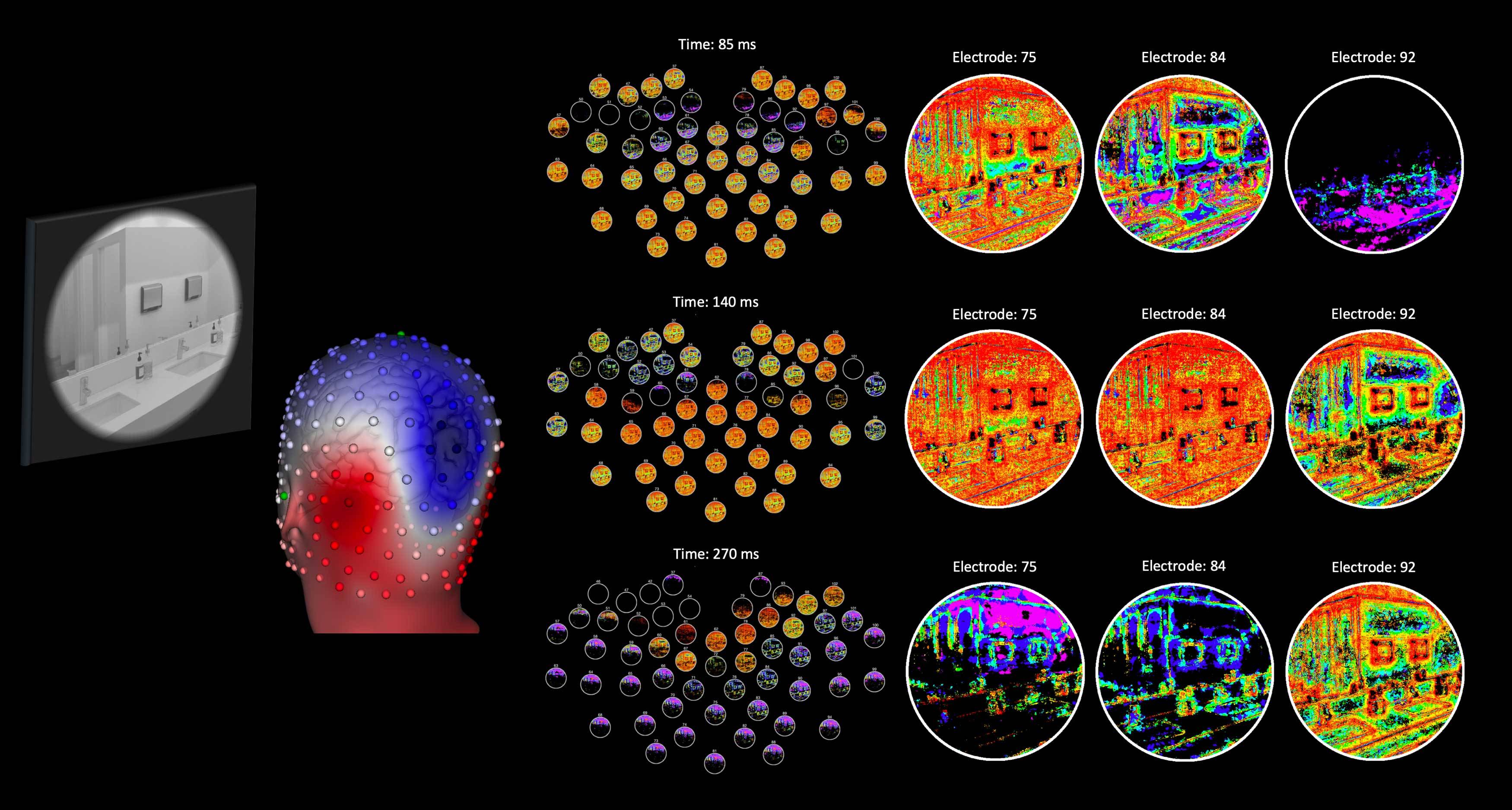 DETI mapping results from the brain of a person viewing stimuli