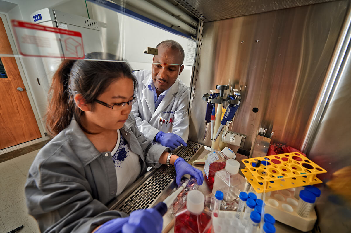 Professor Engda Hagos works with undergraduate student researchers on his cancer research projects.