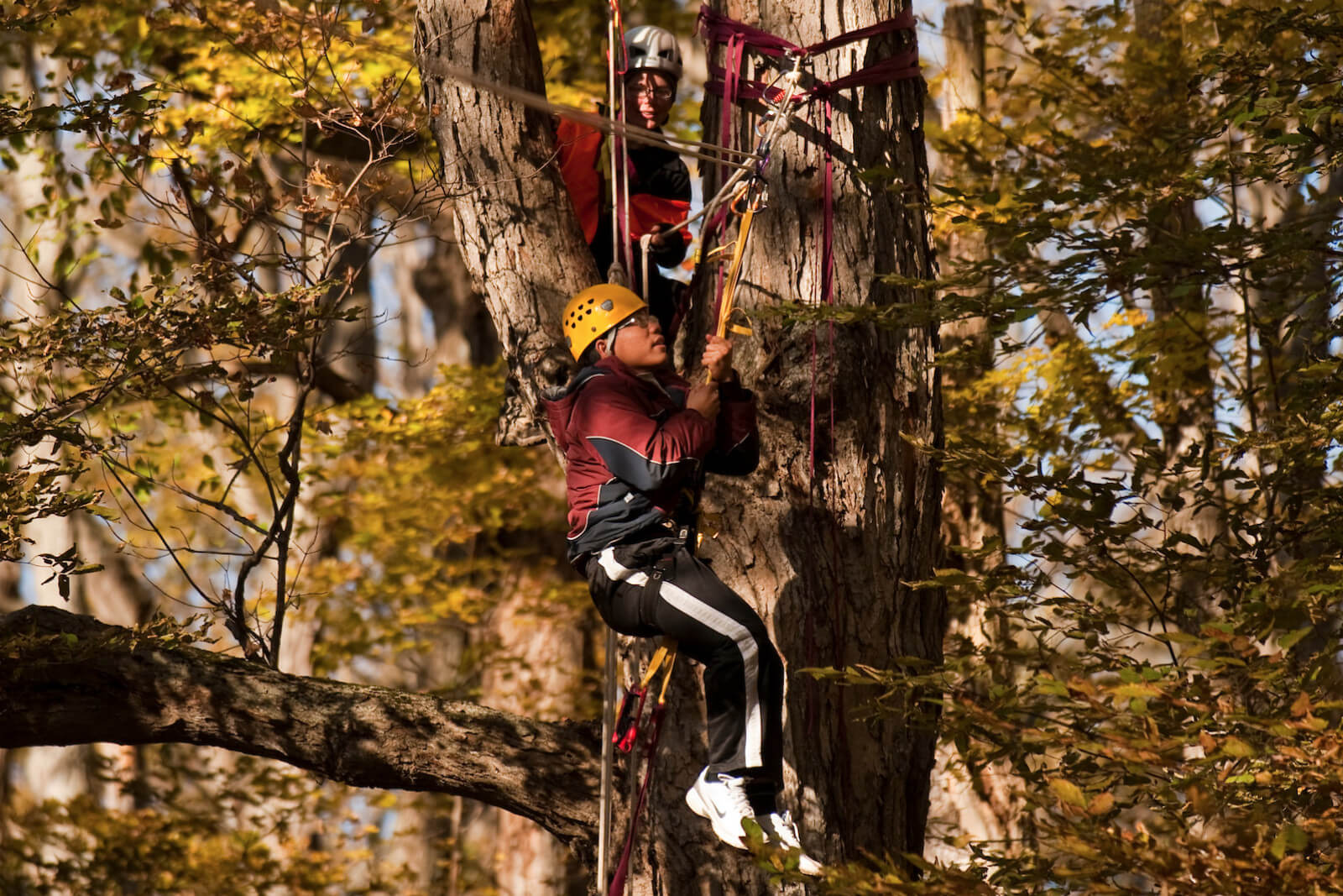 Students participate in a 'tree climbing for break' class.