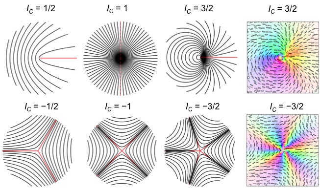 Exploring High-Order Disclinations in Polarization of Light Fields