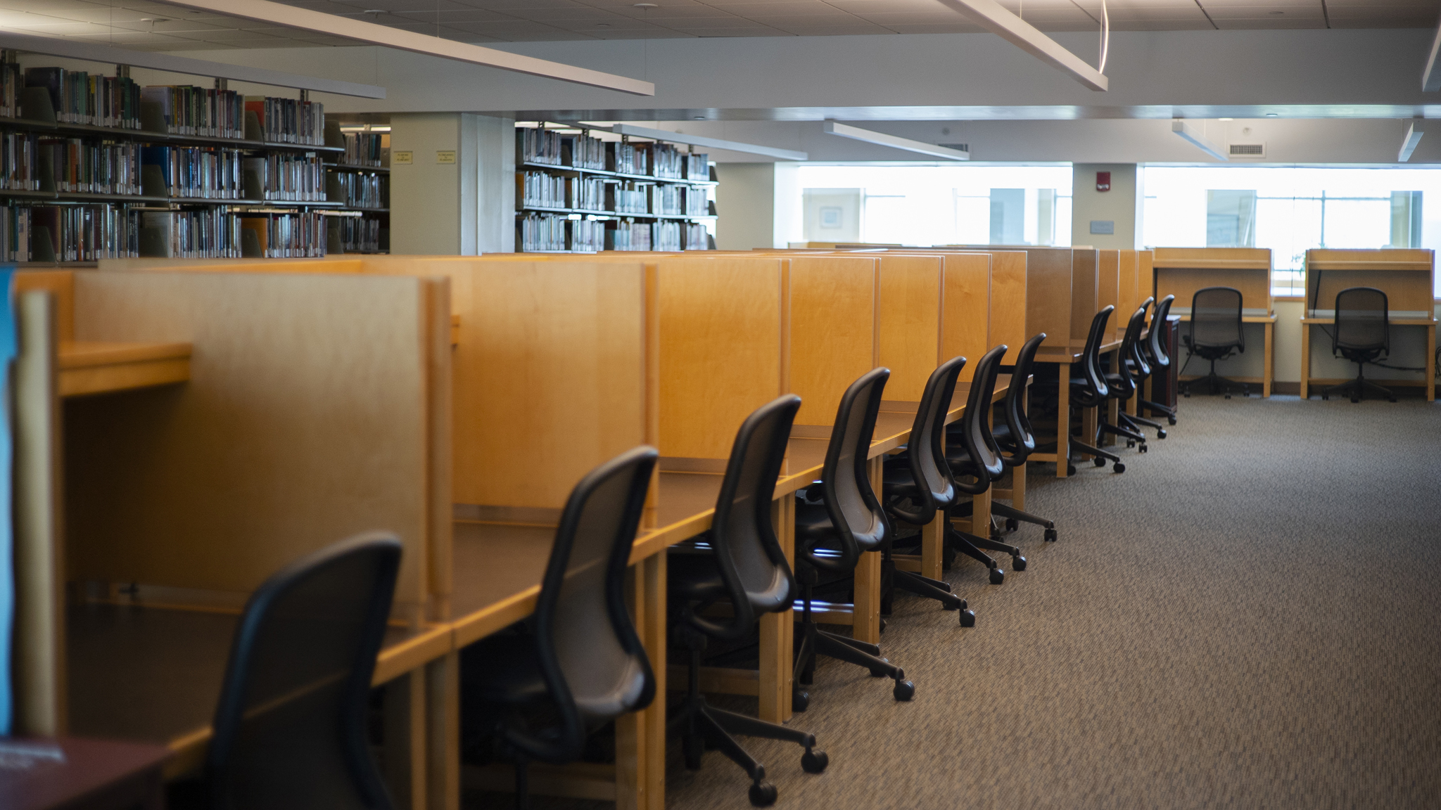 study carrels in the library