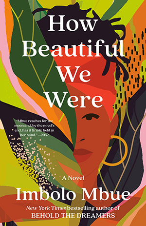 How Beautiful We Were Cover