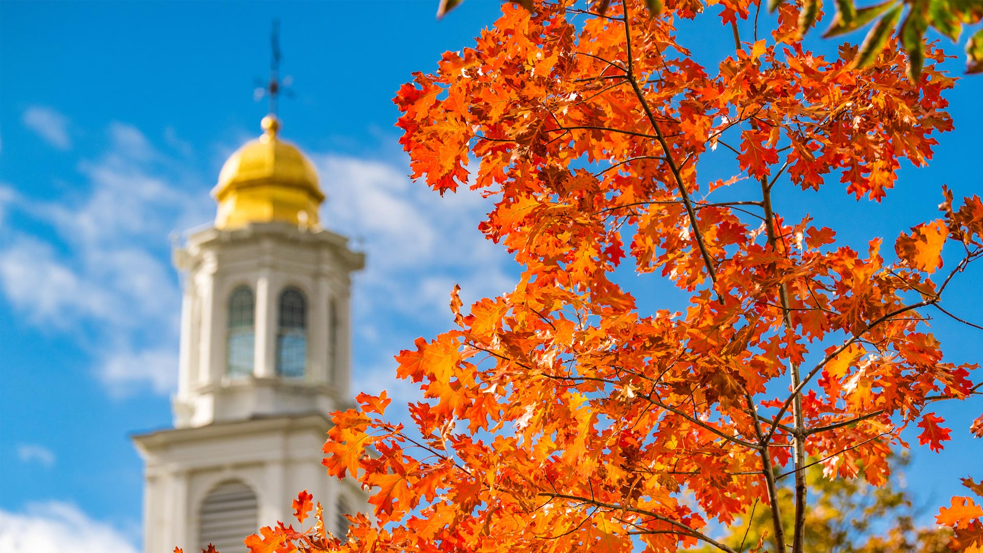 campus scenic