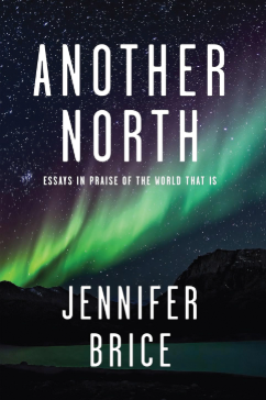 Another North