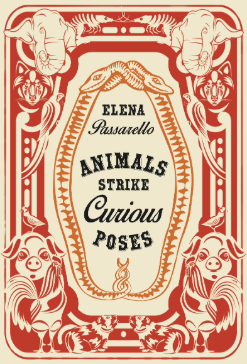 Animals Strike Curious Poses