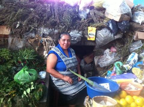 Woman Selling Medicinal Herbs at a Market in Honduras
