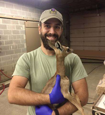 Photo of Matt Ardaiolo holding a baby animal while working as a zoo keeper