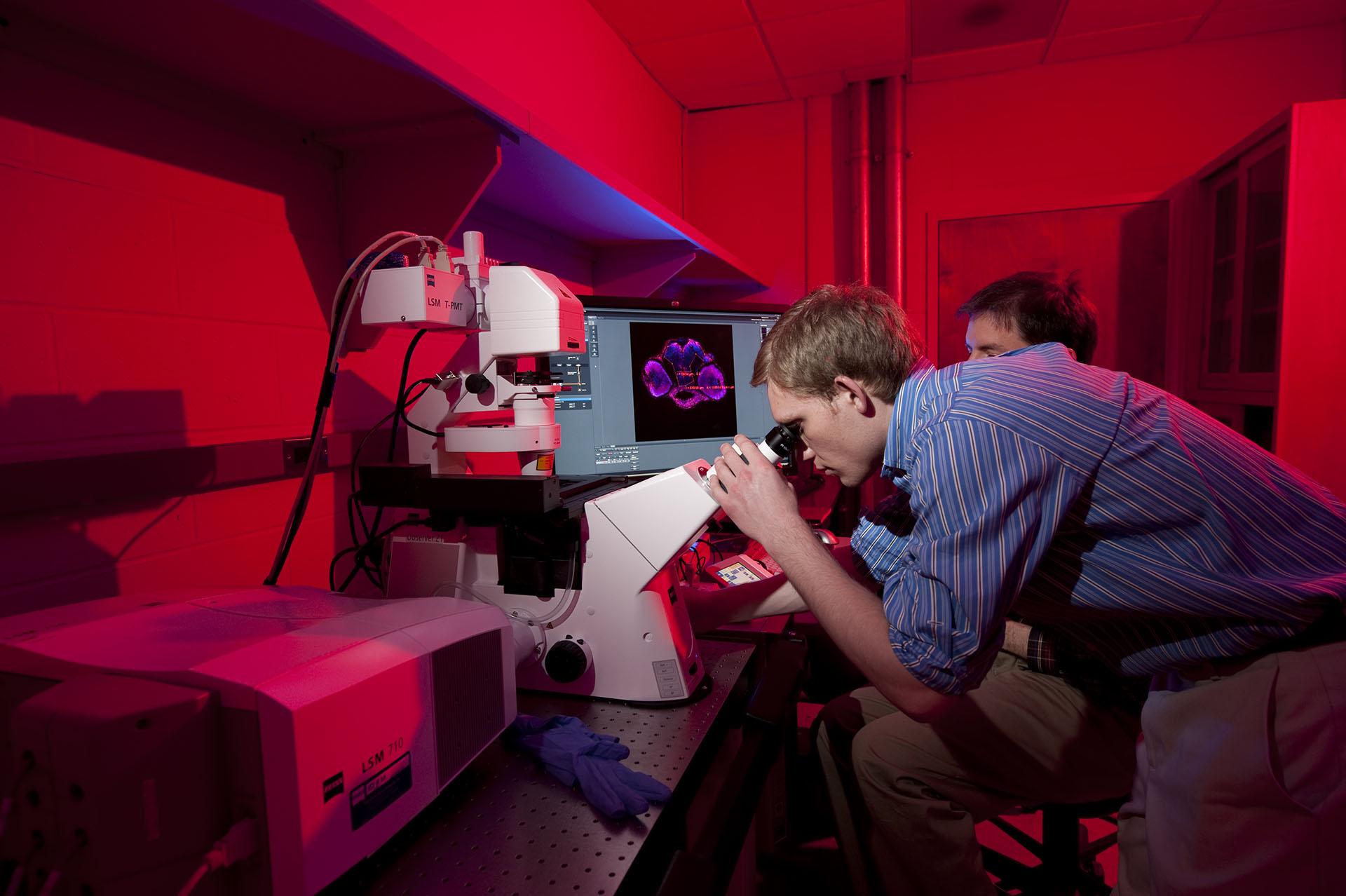 Professor Jason Meyers works with an undergraduate on research with a laser scanning microscope.
