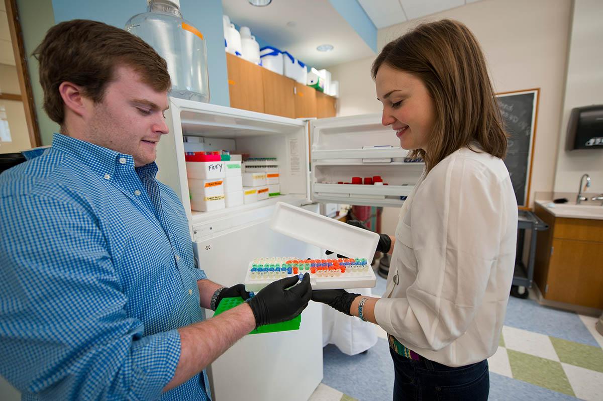 Colgate Biology students run DNA tests on water samples.