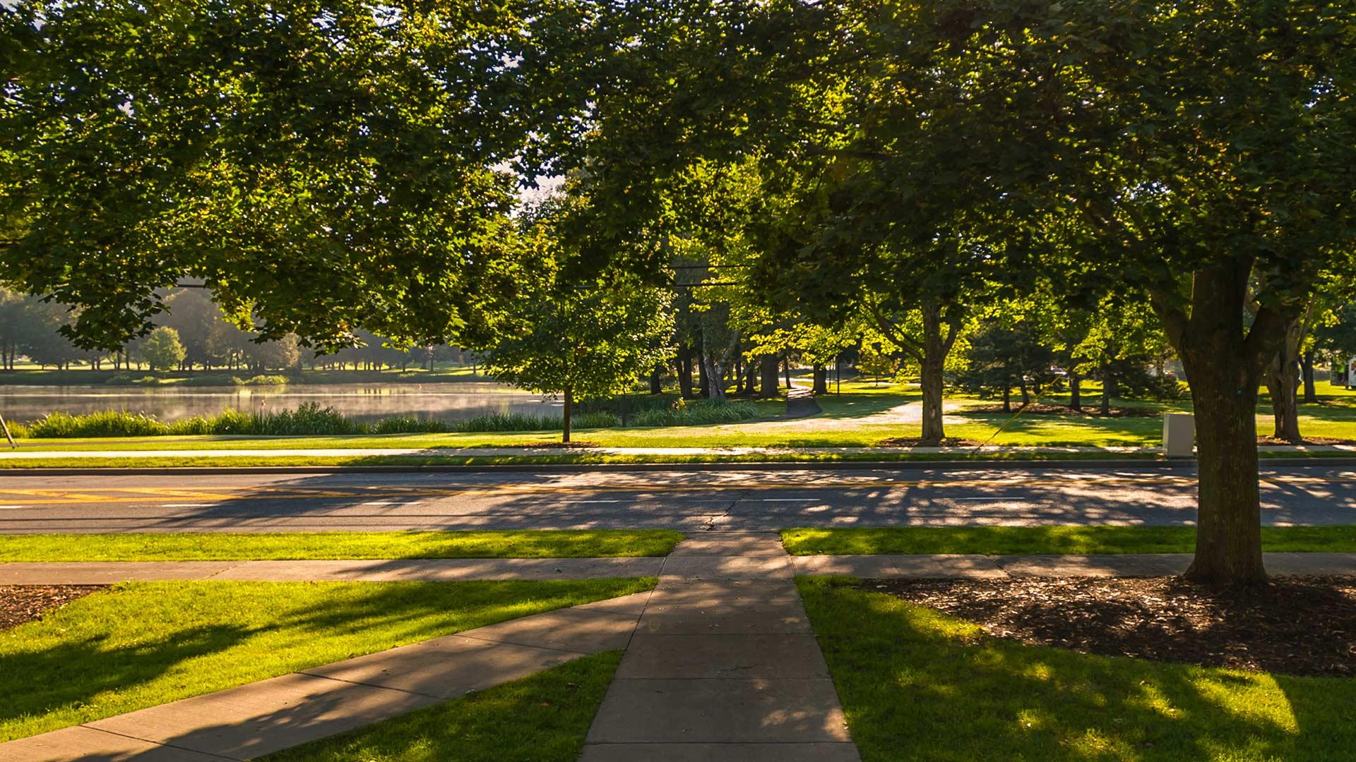 A Colgate campus sidewalk by Taylor Lake on a sunny summer day
