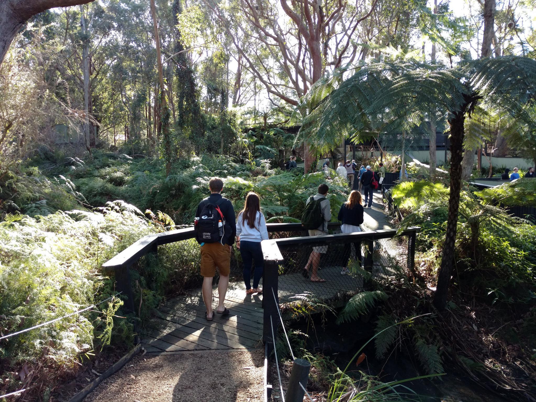  Students walk along a forested pathway