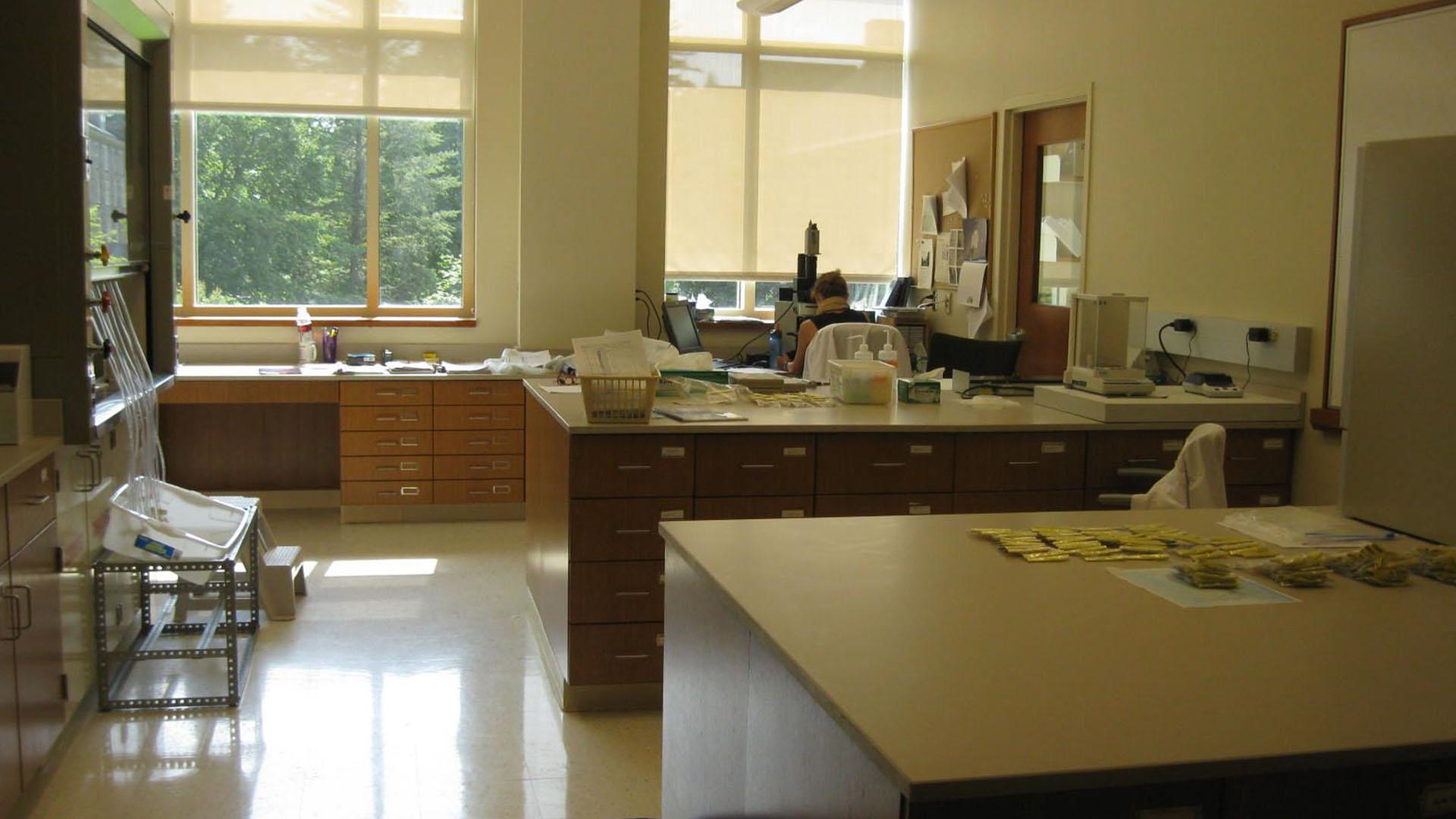 A student working in the micropaleontological and microscopy lab