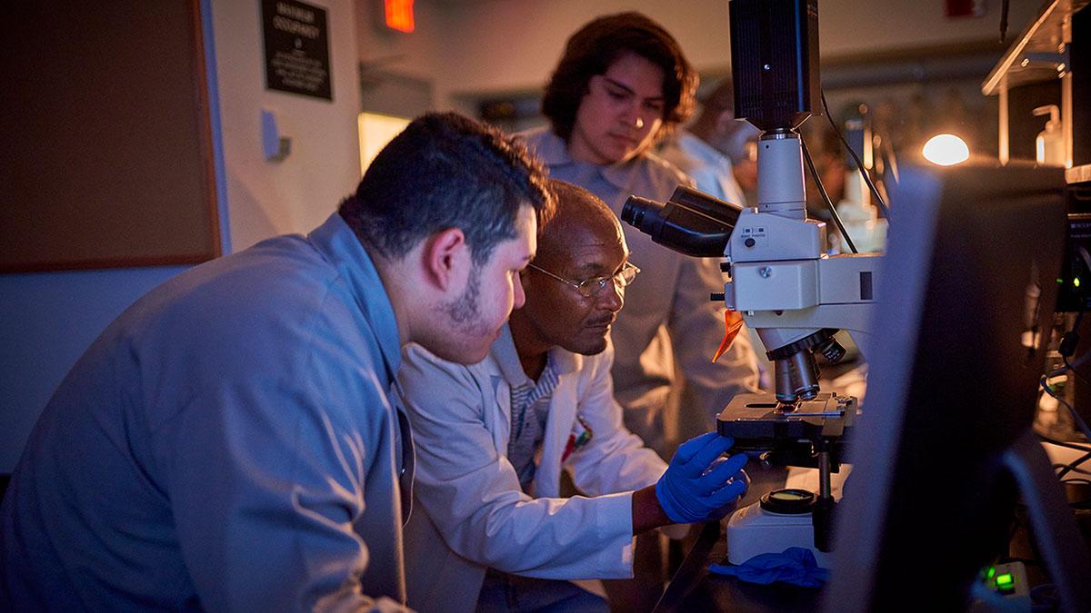 Engda Hagos, Associate Professor of Biology, works on experiments with OUS students in his laboratory in Olin Hall.