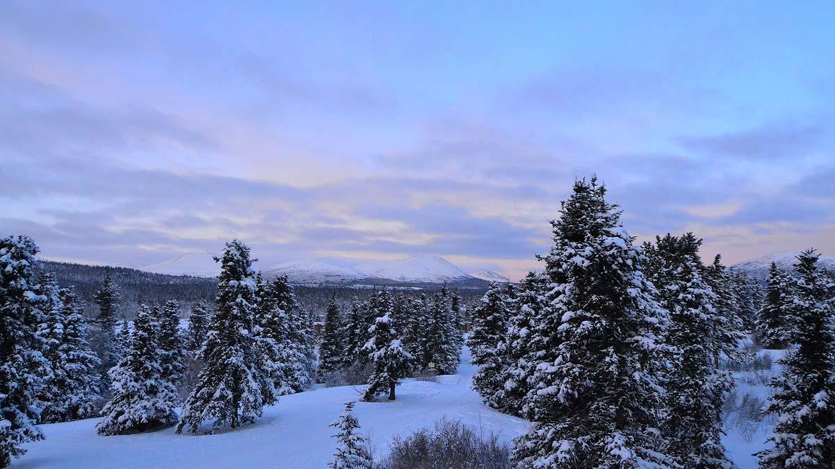 Snow-covered Canadian wilderness