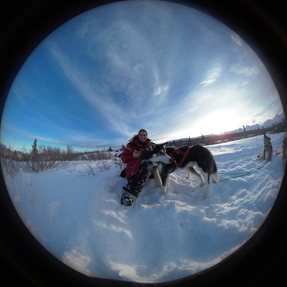 Student with Canadian sled dog