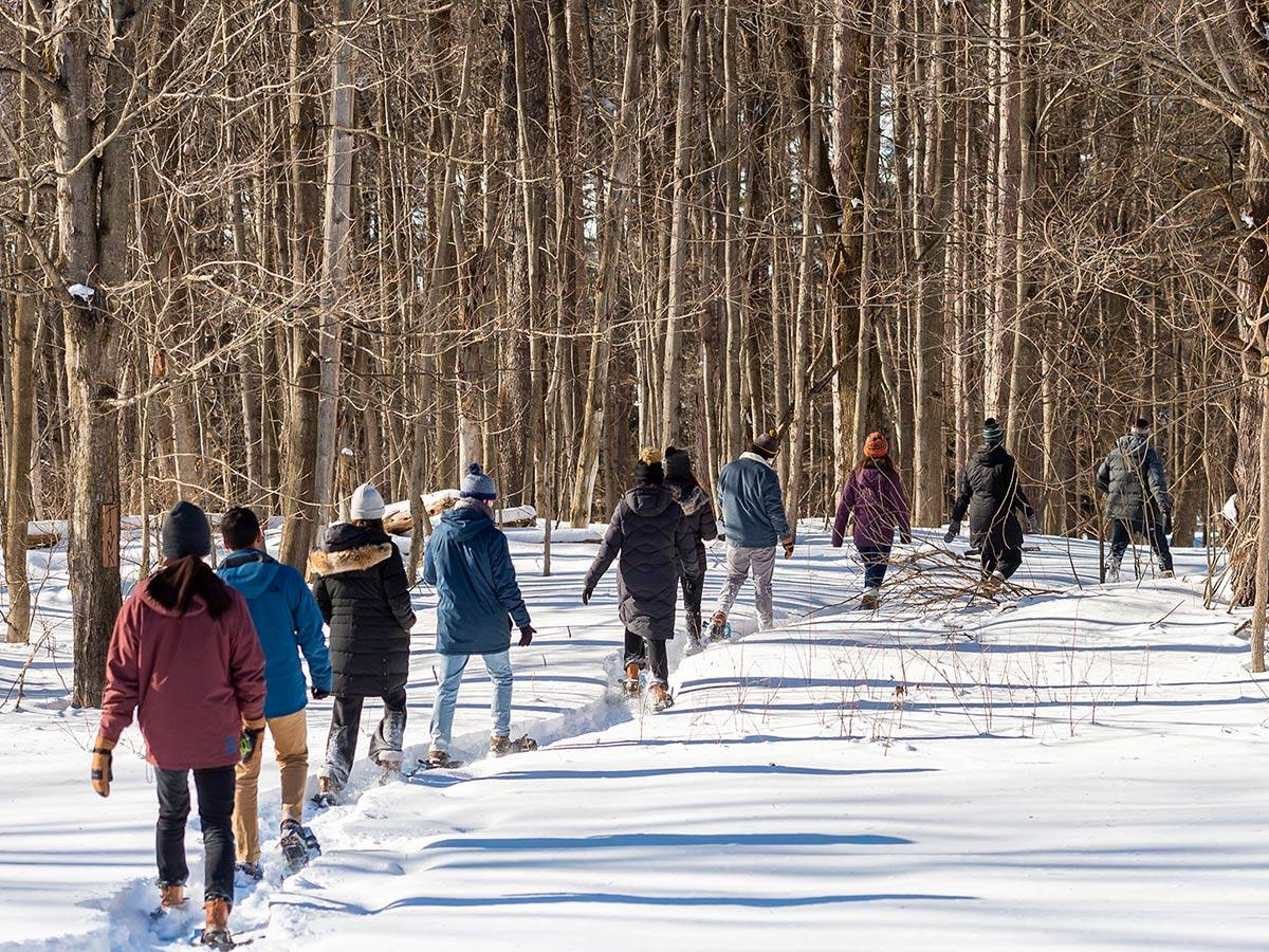Students snowshoe on Colgate campus trails