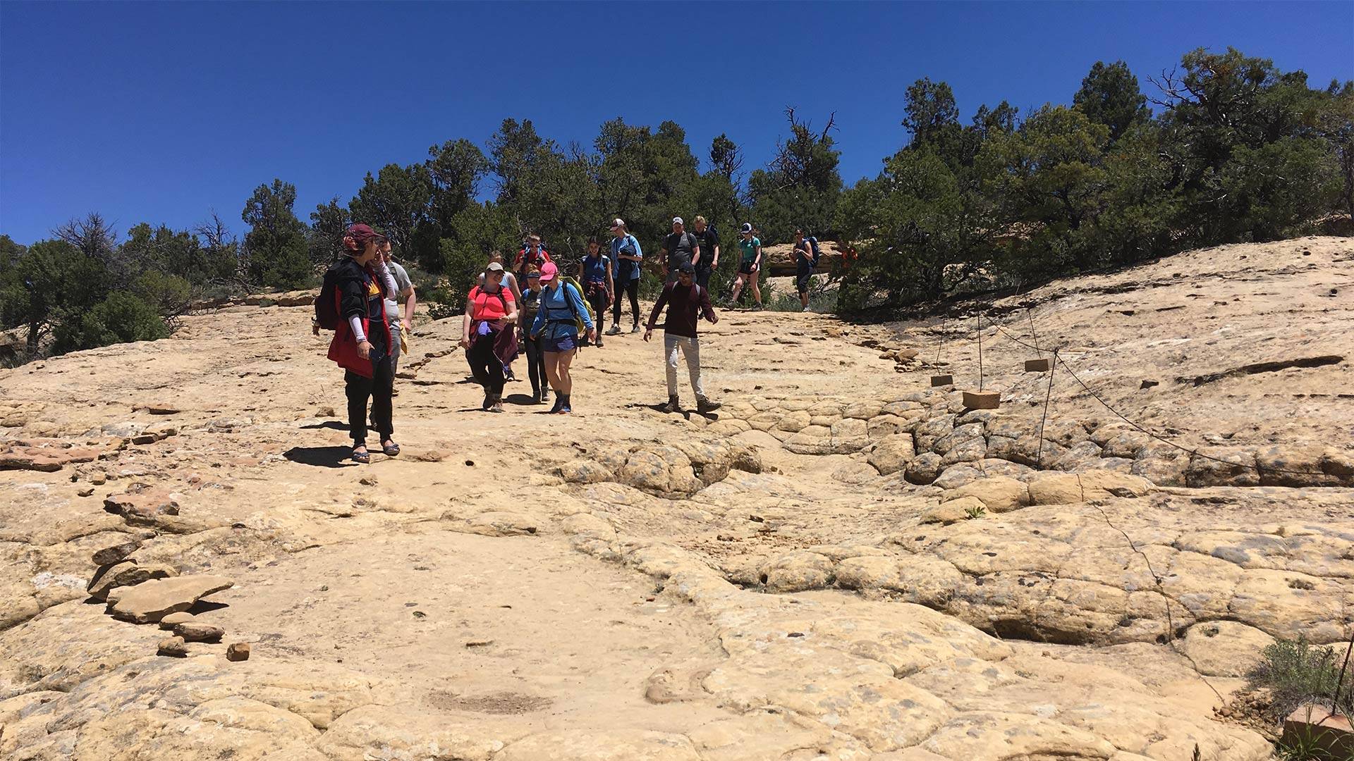 Mesa Verde