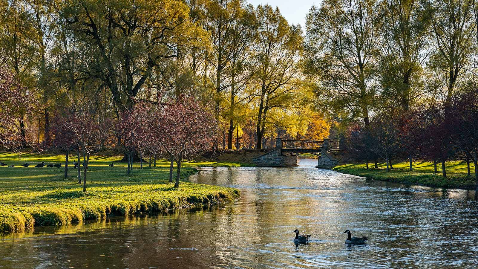 Scenic view a bridge over Payne Creek on Colgate's lower campus