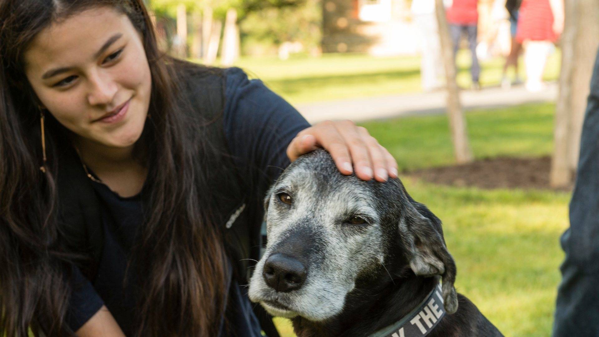 Student pets a faculty member's dog