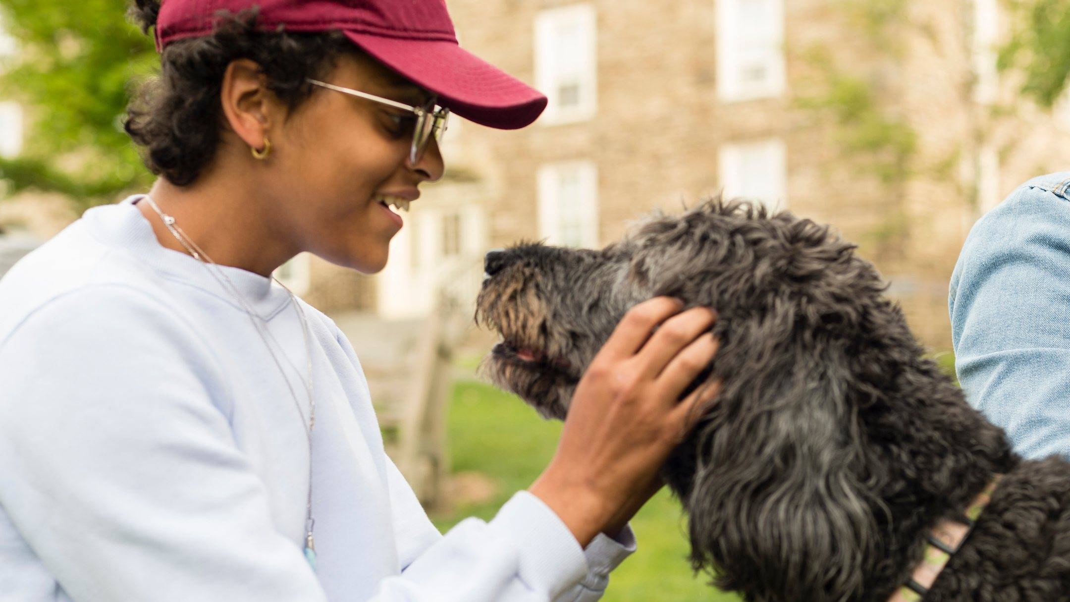 Student pets a Labradoodle