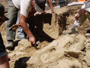 Researchers at an excavation