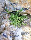 New Phytologist Cover