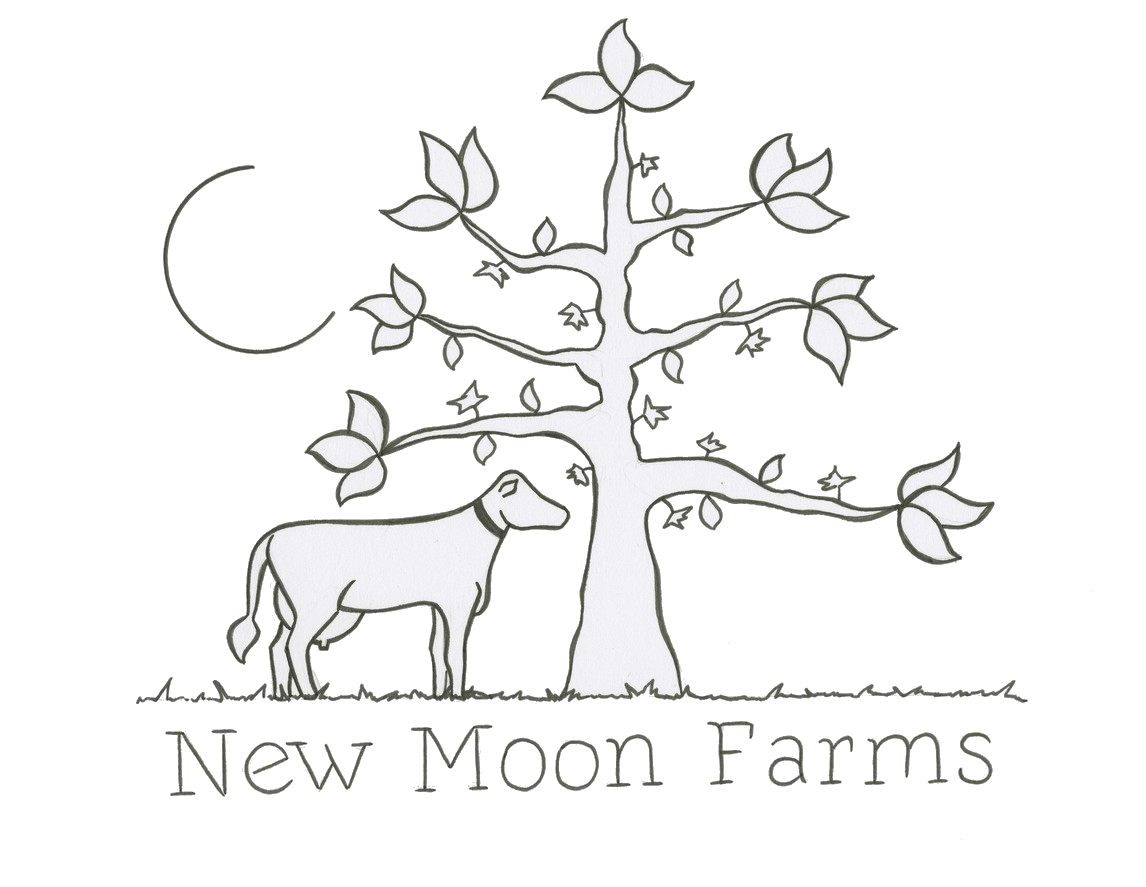 New Moon Dairy logo