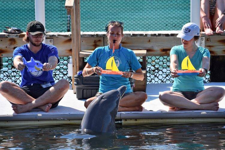 Two students and a trainer sit and hold miniature boats while dolphin watches
