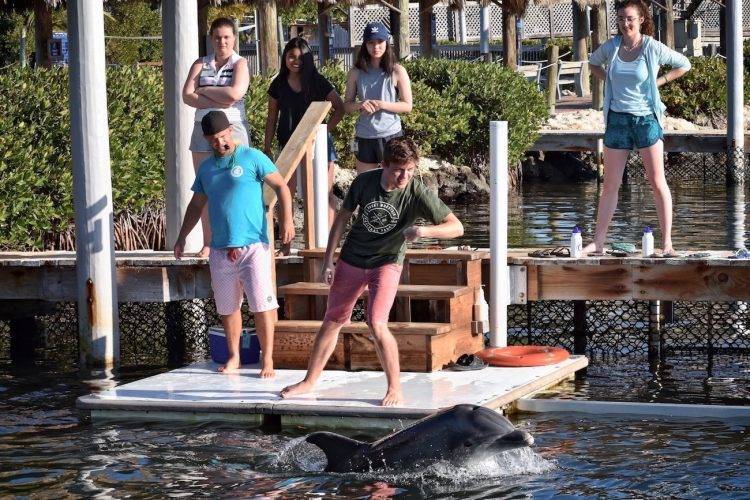 Student gives had signal to dolphin as three students and trainer nearby observe