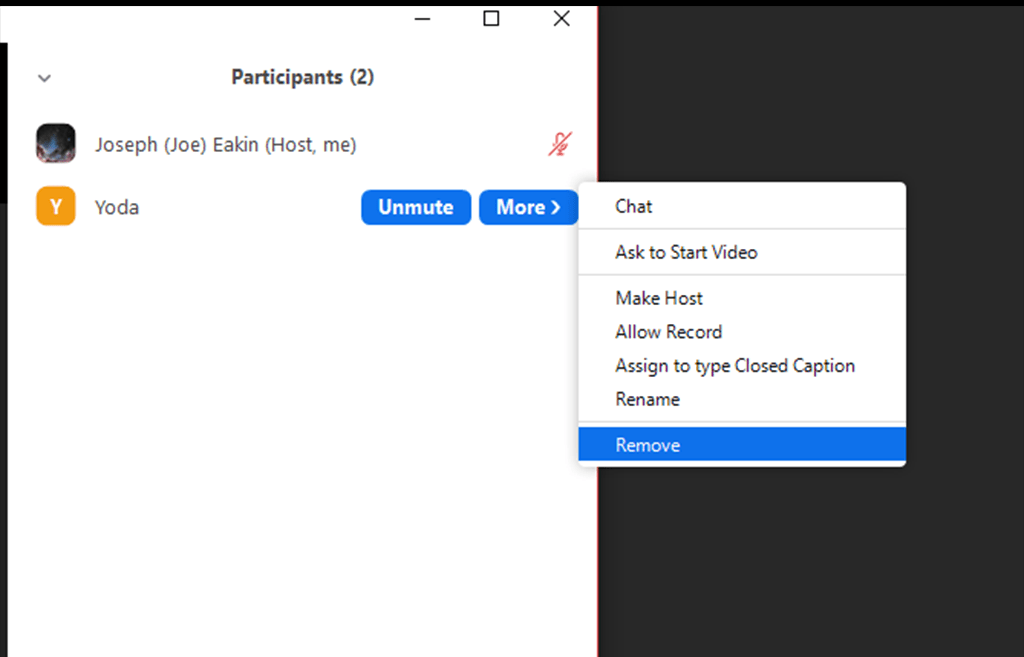 Screenshot showing how to remove a Zoom participant
