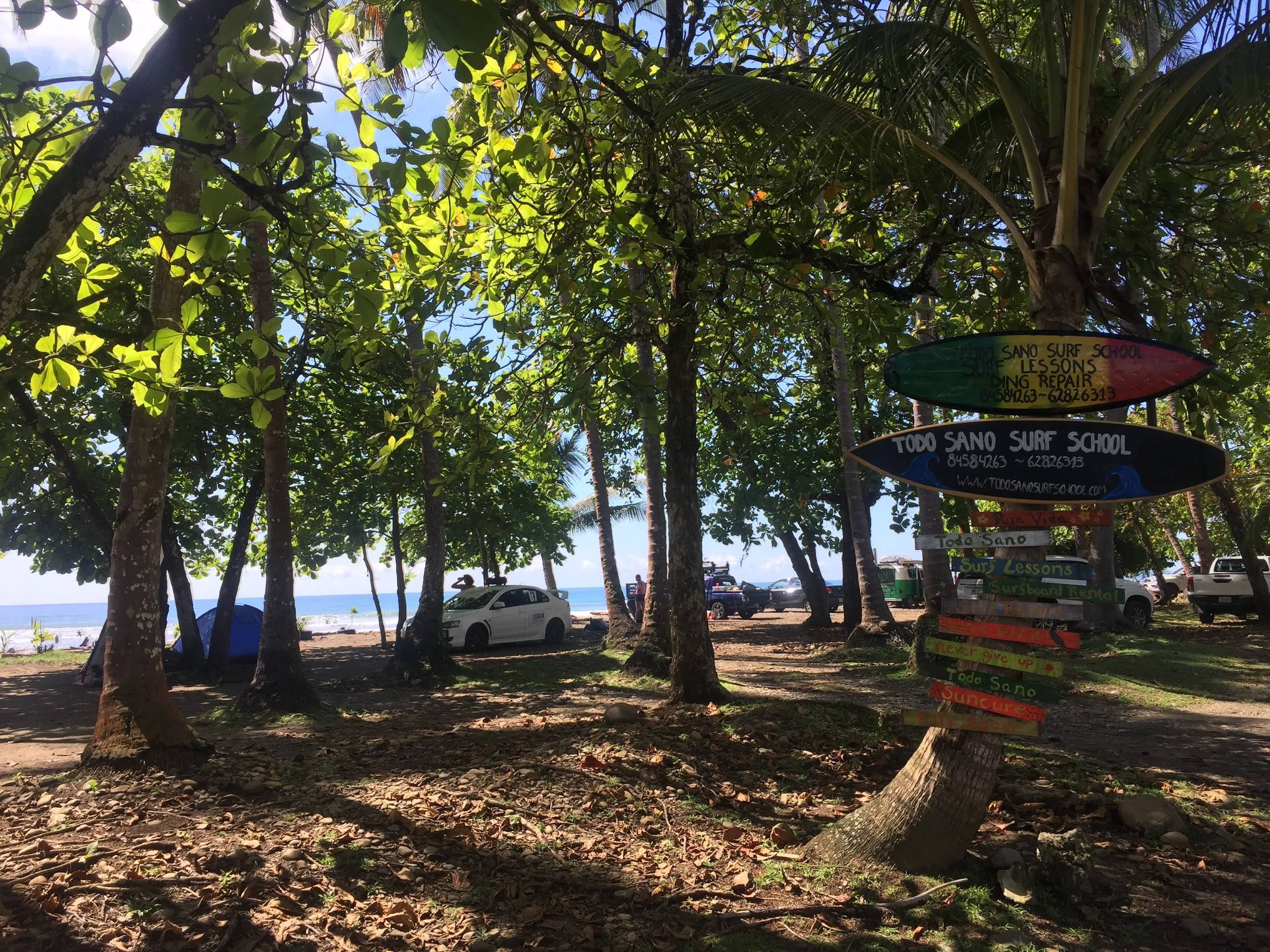 Surf school in forest