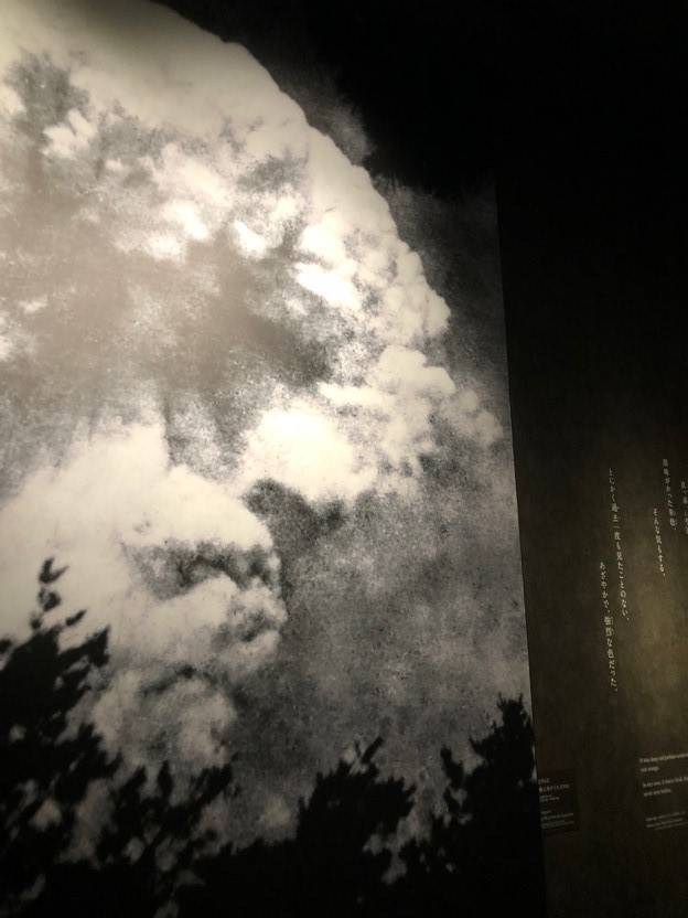 Inside the Hiroshima Peace Memorial and Atomic Bomb Museum