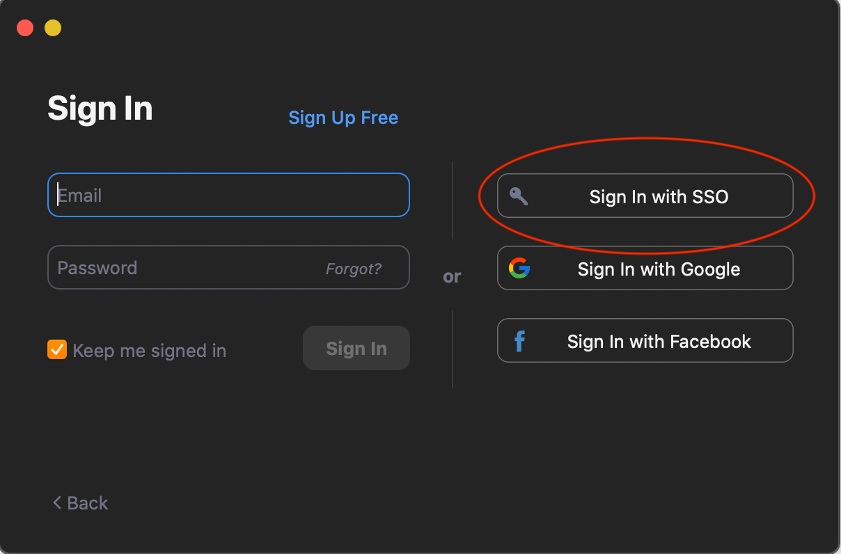 Screenshot showing the location of the SSO option on the app sign-in screen
