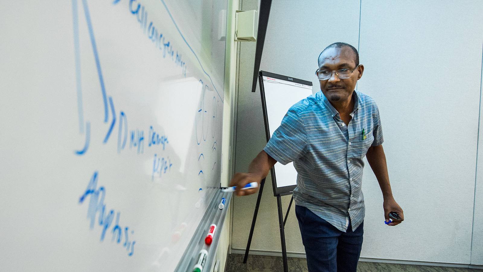 Professor gesturing at whiteboard