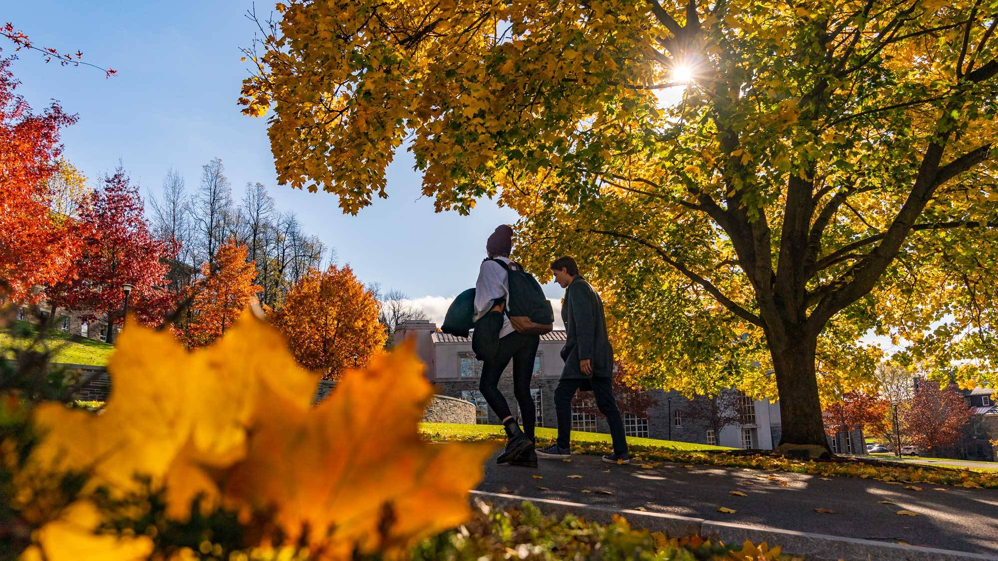 Two students walk up hill in fall sunshine
