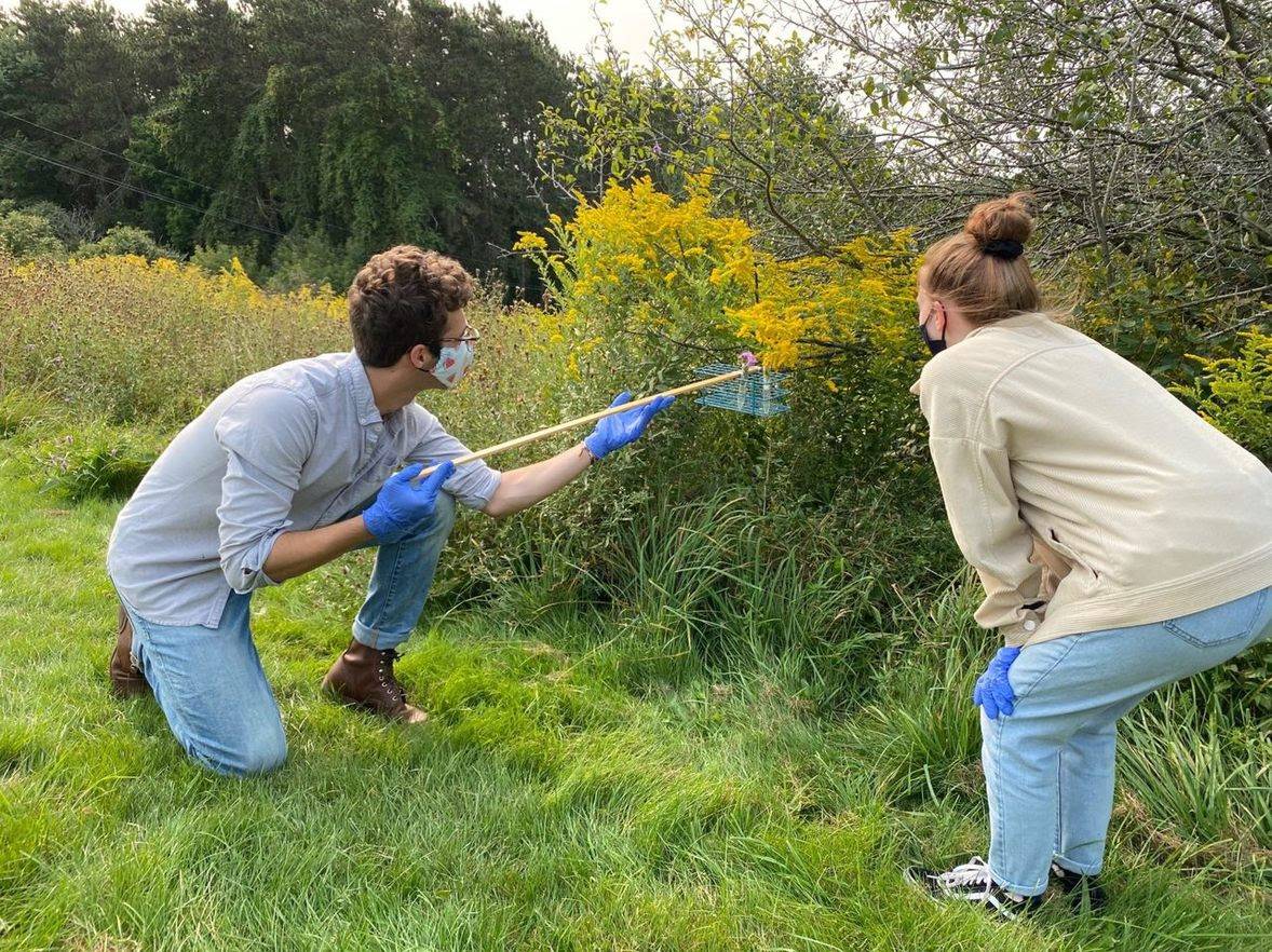 bio students look at pollinators 