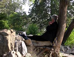 A Beijing resident relaxes against a tree in the city’s Ditan Park.