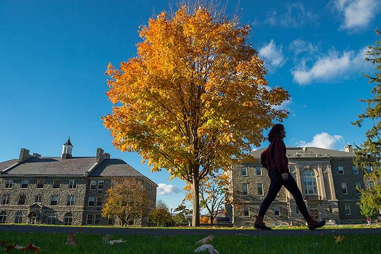 A student walks past an autumnal tree on the Academic Quad