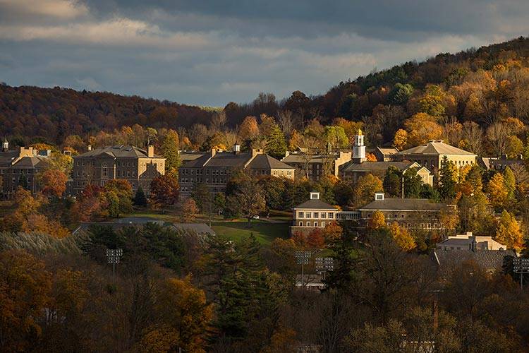 The campus hillside seen from a distance