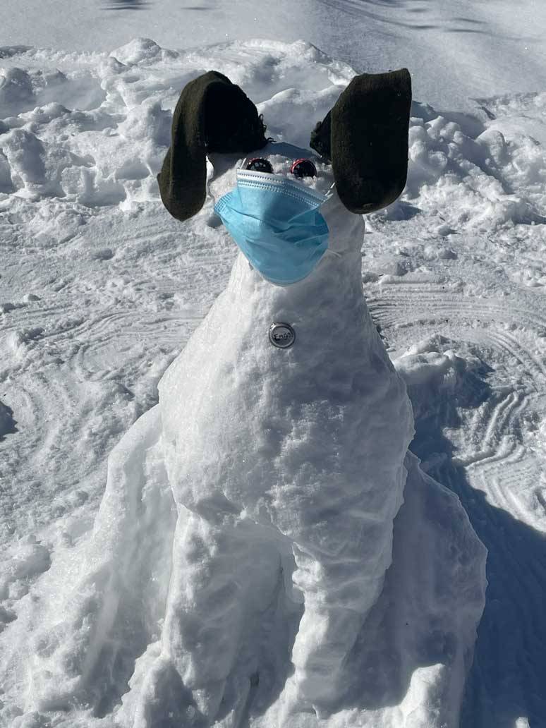Snow dog sculpture