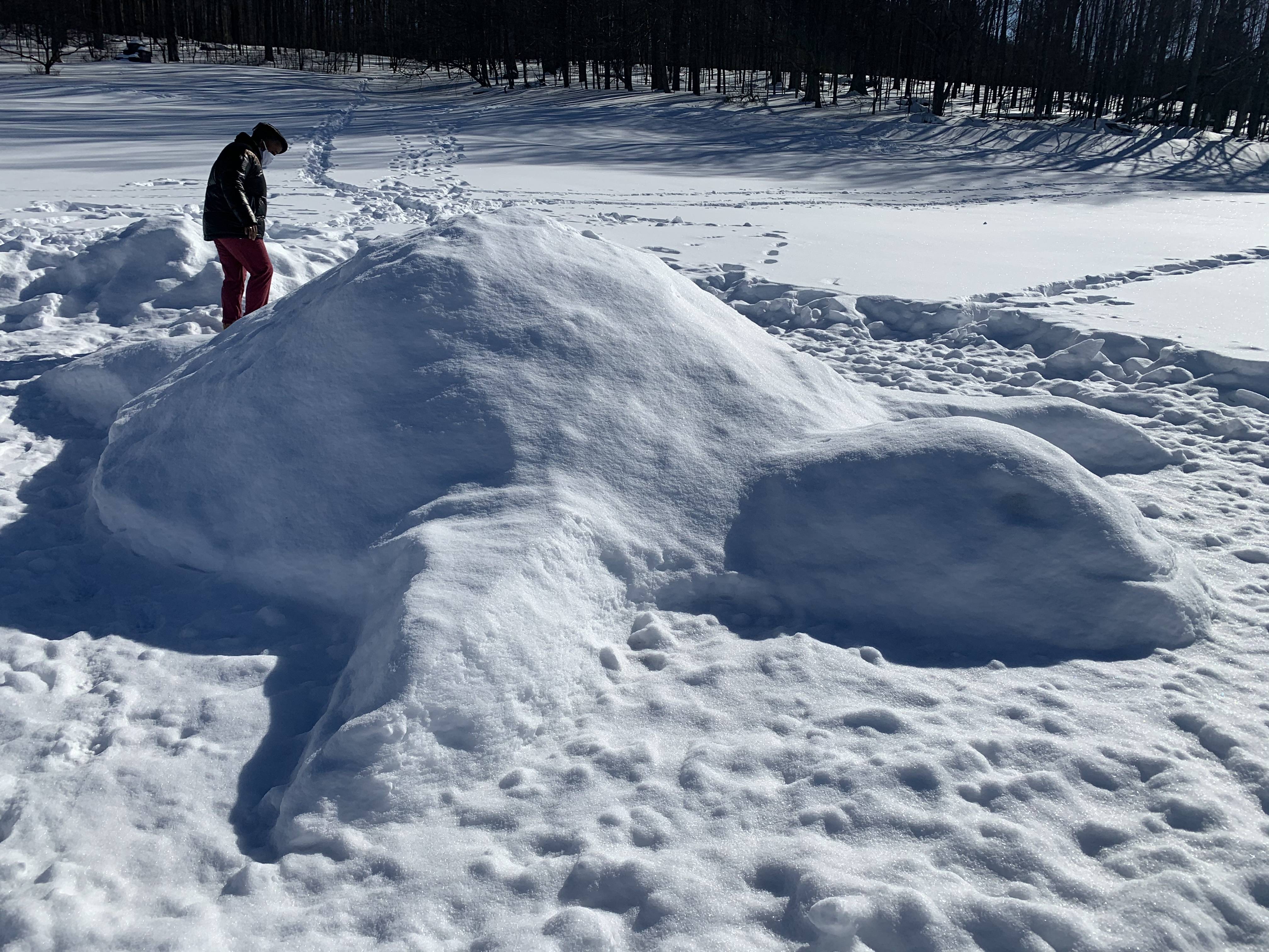 Turtle snow sculpture