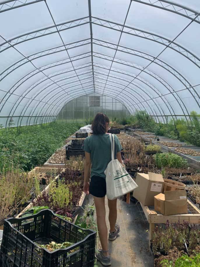 Sustainability Intern Walking Through a Greenhouse 