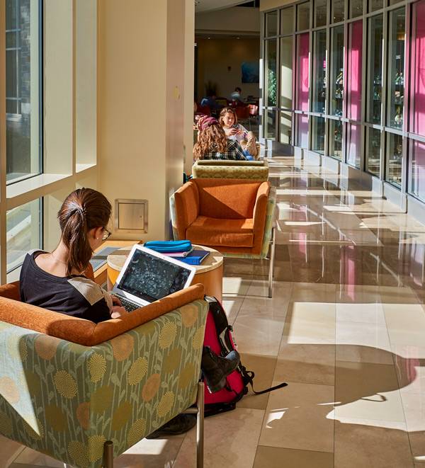 Students studying in the Ho Science Center.