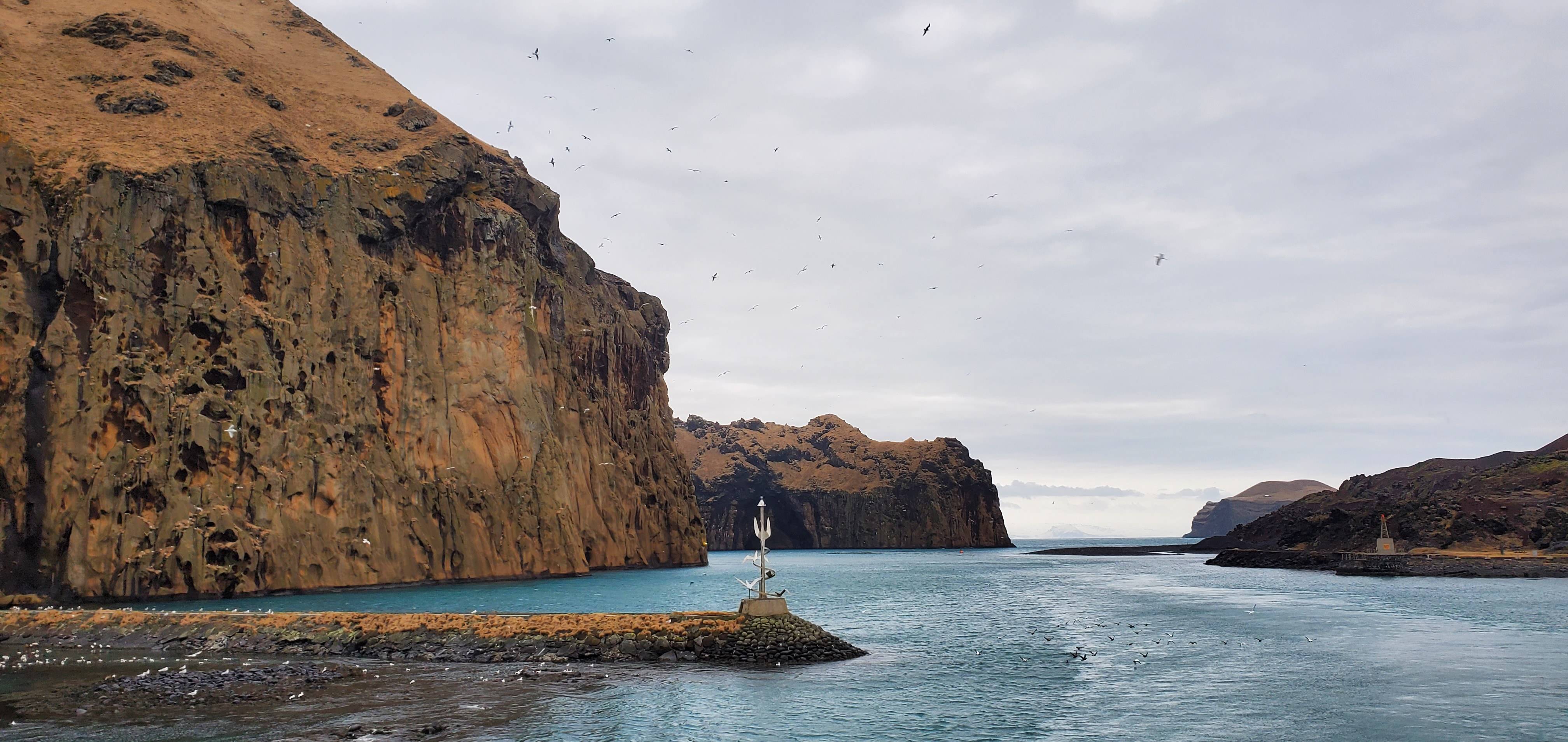 Icelandic seascape (photo submitted by Emma Dexter)