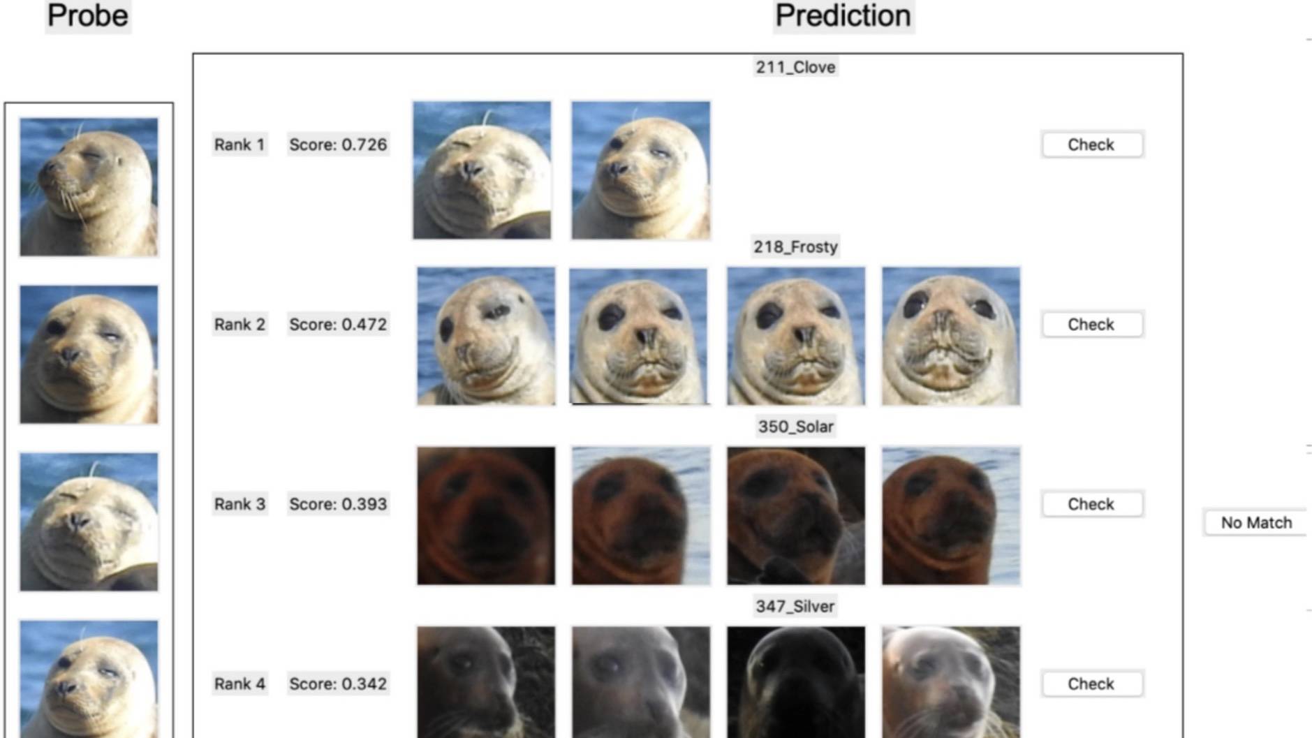 SealNet's prediction of individual harbor seals